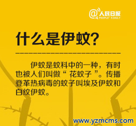 登革热进入高发季节